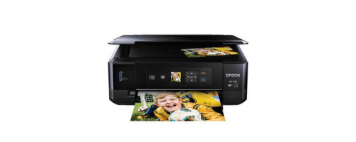 Expression XP-520